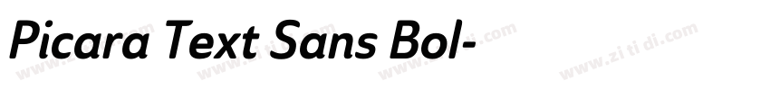 Picara Text Sans Bol字体转换